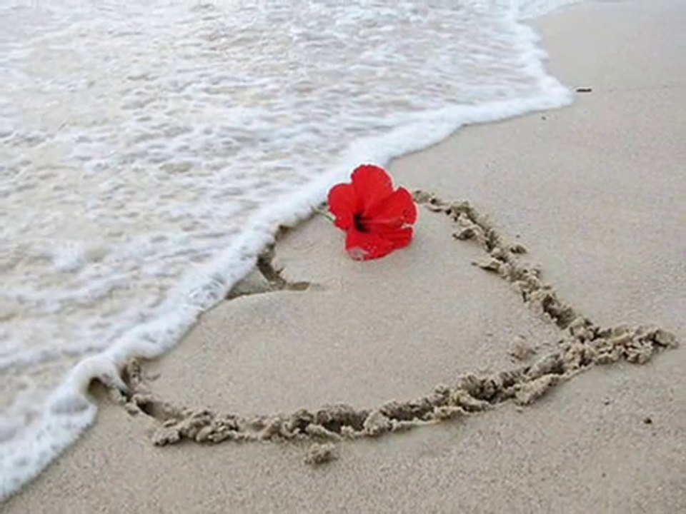 ELİF REYYA NAZ-ÇINAR GÖLE     SEN HİSSETTİKÇE