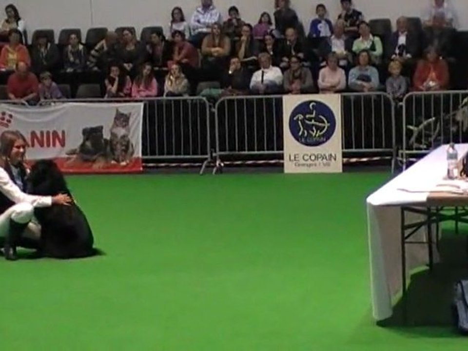 Commentaire de la juge concours OBR de Genève 2011