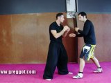 Wing Chun Kung Fu - Technique du jour - Episode 03