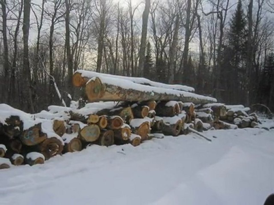 ST-Philipp_1