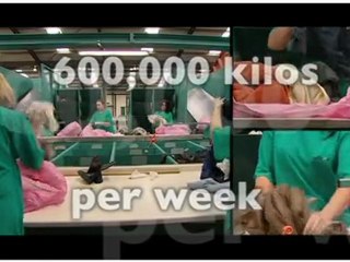 JMP Wilcox Textile Reclaimation and Recycling