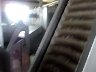 Sunflower Seeds Salting Machine