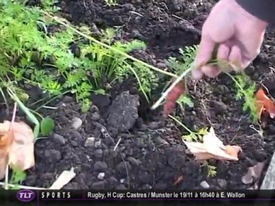 Jardins pour l’hiver:  les bonnes pratiques (Gaillac)