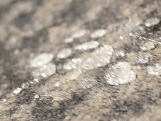 Sugar-Water Droplets