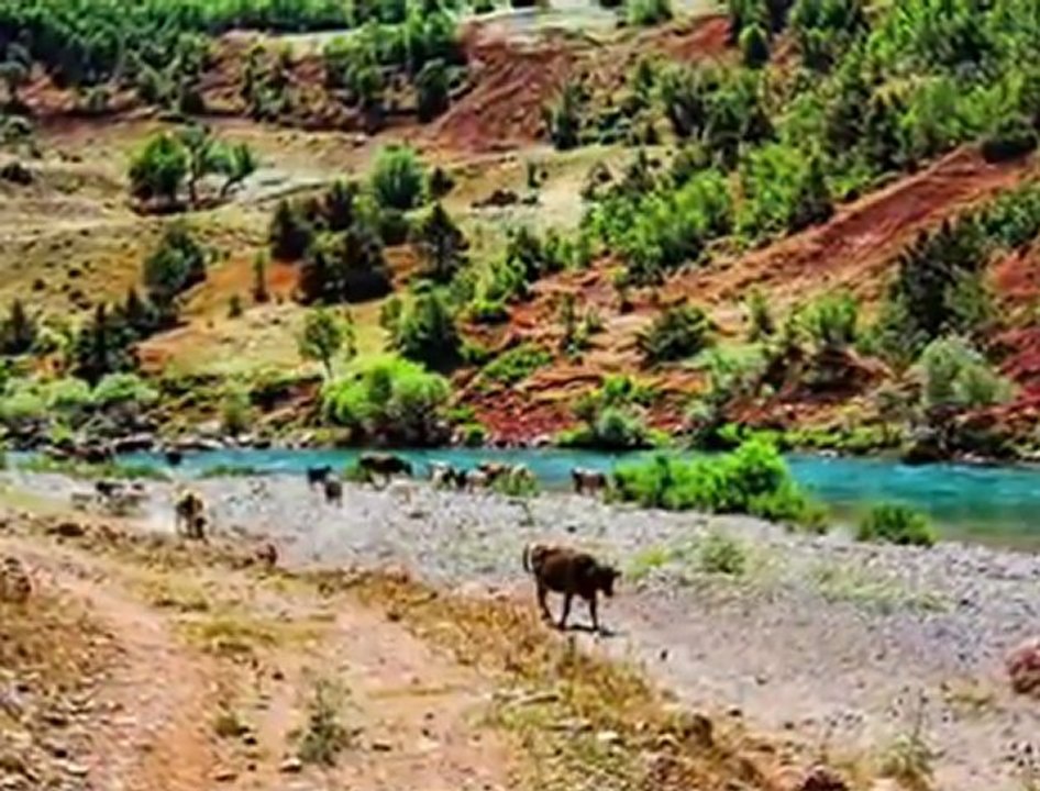 Erdoğan Emir - Tew Veyvike