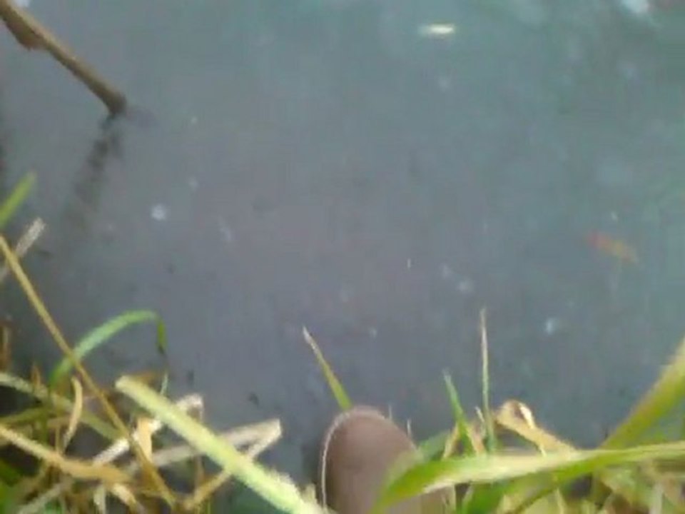 Stawy - coś dla wędkarzy!