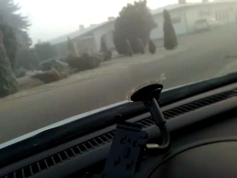 WP_20111121_063531Z