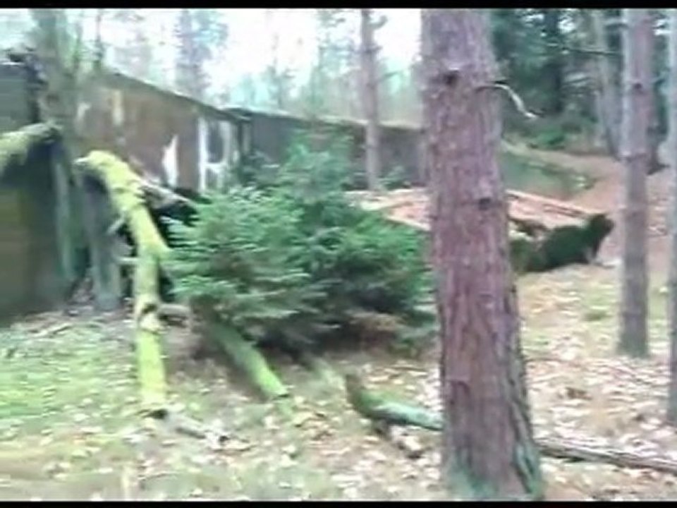 Film o mojej okolicy