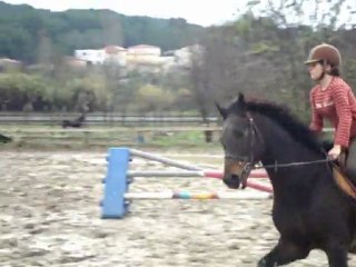 Cours compet du 20.11