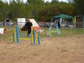 Daisy - GPF Hyères 20.11.11