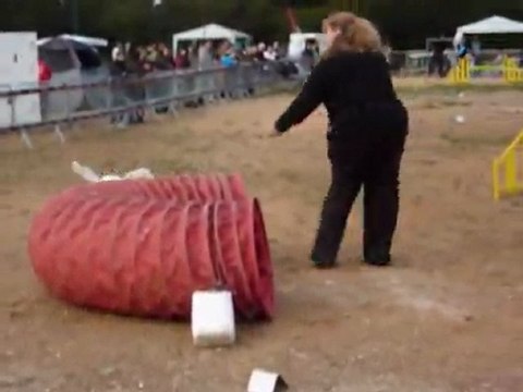 Daisy - Jumping Hyères 20.11.11