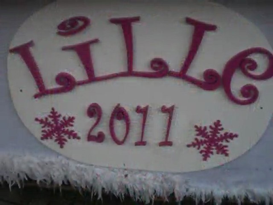 Lille : Marché de Noel 2011 et la Grande Roue