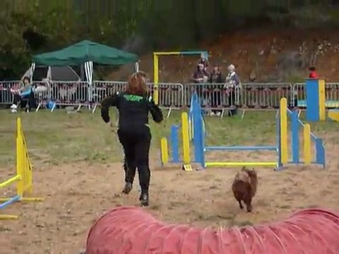 Domino - Jumping Hyères 20.11.11