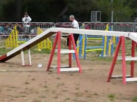 Taz - Open Hyères 20.11.11