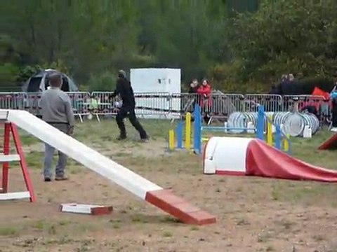 Brownie - Open Hyères 20.11.11