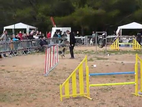 Brownie - Jumping Hyères 20.11.11