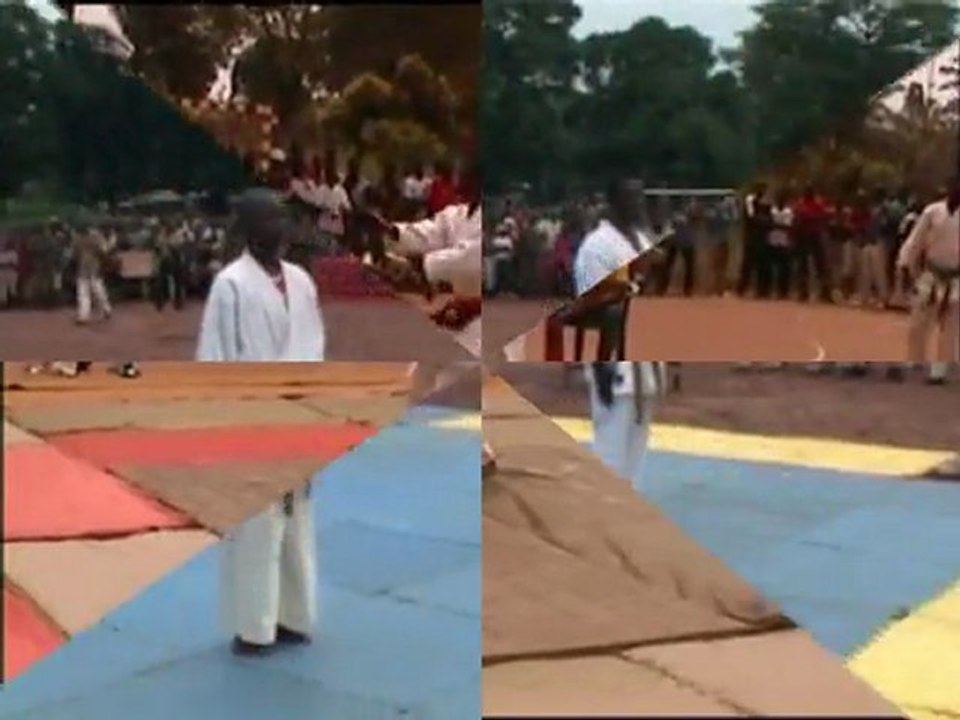 Fédération Centrafricaine de Karaté et des Arts Martiaux Affinitaires FECKAMA