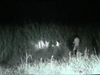 Boy Gets Raped by Unknown Existence