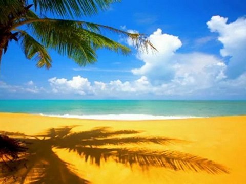 snyper triste...k dance ocean indien -