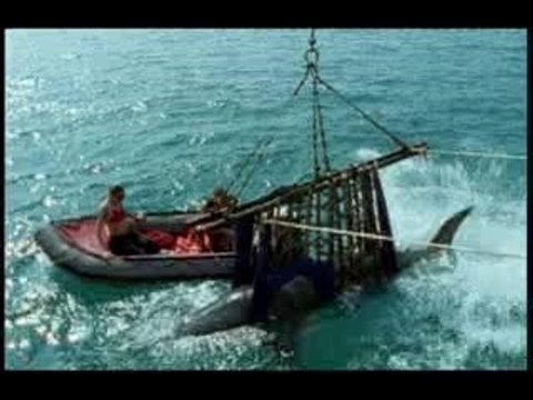 John West Pub Amusant