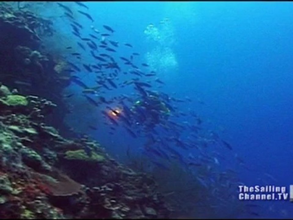 Secret Caribbean-Pt1: Trailer