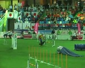 Small-Medium-Indiv-Jumping