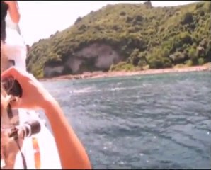 İstanbul Boğazı'nda Yunus Gözlemi - Dolphin Watch in the Bosphorus - 16 Temmuz/July 2011