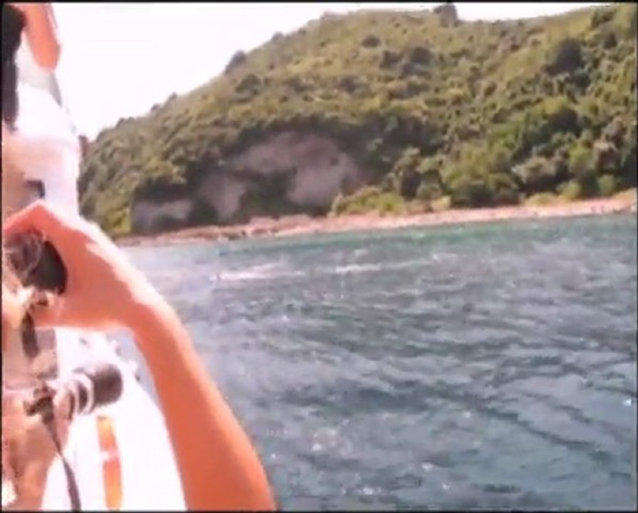 İstanbul Boğazı'nda Yunus Gözlemi - Dolphin Watch in the Bosphorus - 16 Temmuz/July 2011