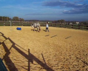 Trot main droite début