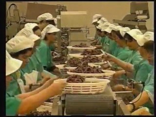 Hoya: tradición, evolución y calidad