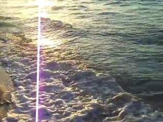 um petit gout de la mer