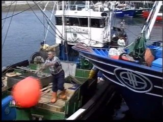 Hoya: tradición, evolución y calidad (2)