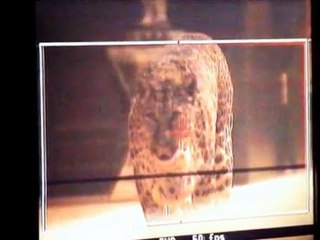 Opium by Romain Gavras - The teaser