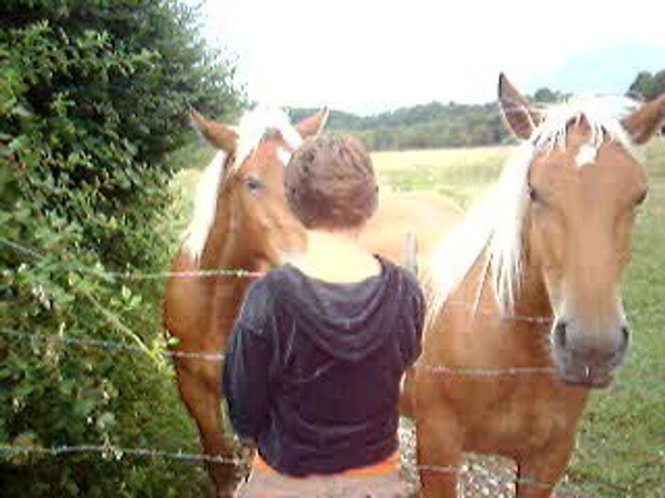 quercy rosaï et moi