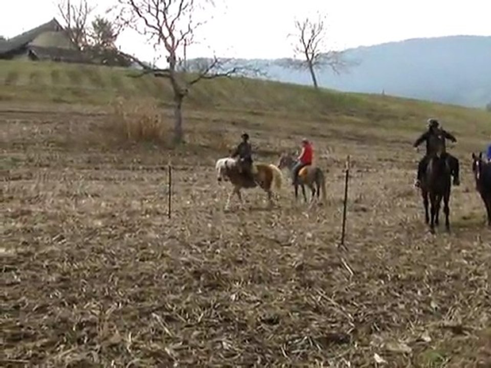 201111 - Poney Games 1