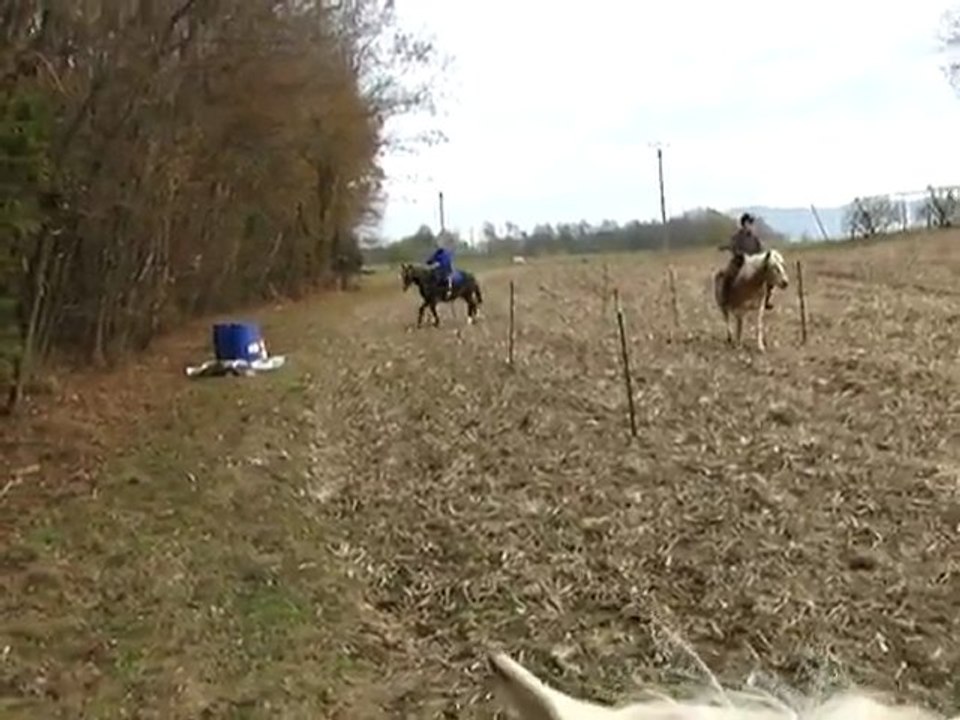201111 - Poney Games 4