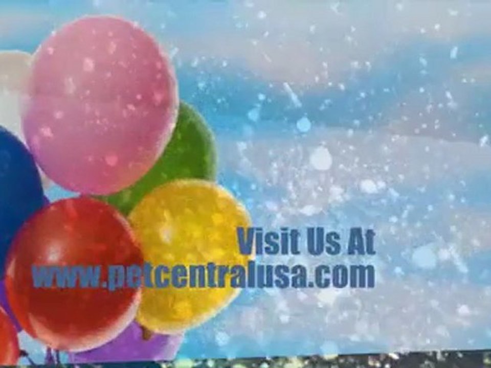 USA free pet classified; animal news for adoptable pets