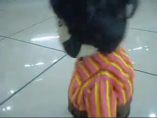 Recep İvedik Bebeği