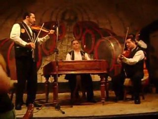 çigan gecesi BUDAPEŞTE 2011