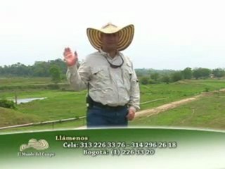 1_MARTES 22 DE NOVIEMBRE 2011 bufalos ganasal