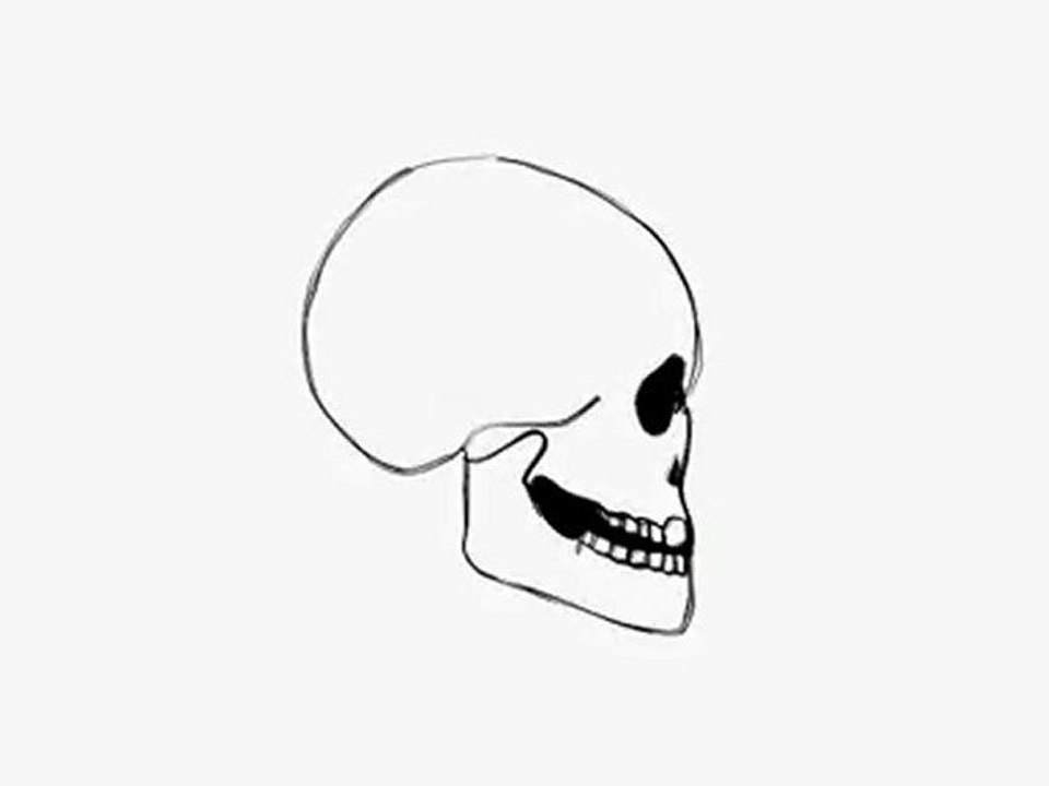 Anime Studio Head Turn Skull