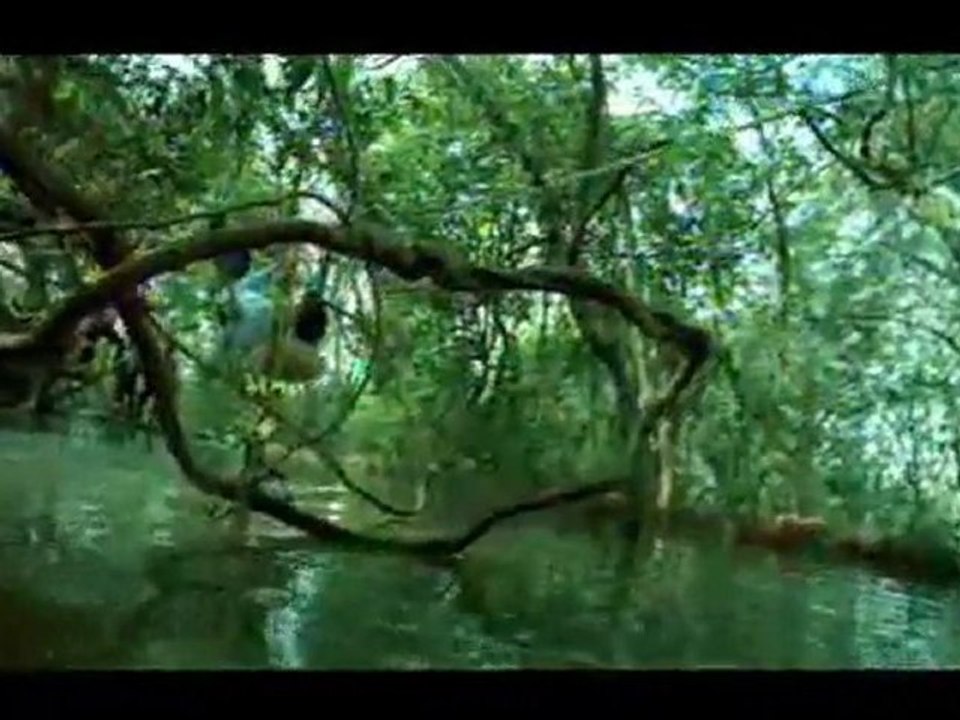Hindustan TVC
