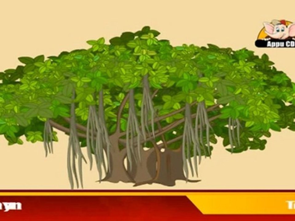 Learn about Plants in Kannada Trees video Dailymotion