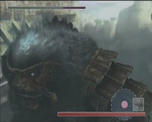 Shadow of the colossus 15) Un poil dans la main