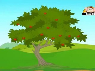 Learn about Plants in Hindi - Life Cycle