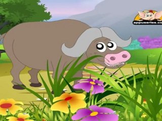 Animal Sounds in Telugu - Buffalo