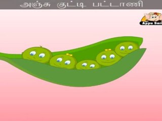 Anju Kutti Pattaani (Five Little Peas) - Nursery Rhyme with Lyrics