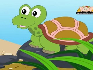 Animal Sounds in Telugu - Tortoise