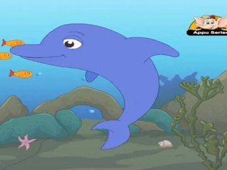 Animal Sounds - Dolphin