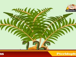 Learn about Plants  in Hindi - Pteridophytes